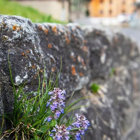 Casa Pasch - Boutique In Cumpadials Sumvitg