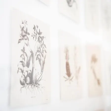 Casa Pasch - Boutique In Cumpadials * 苏姆维特格