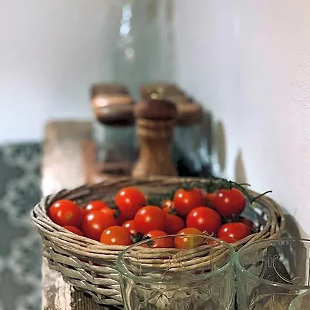 Frühstückspension Casa Pasch - Boutique In Cumpadials