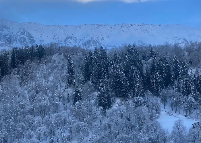 Casa Pasch - Boutique In Cumpadials Sumvitg