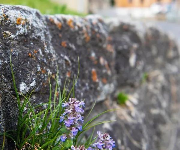 Casa Pasch - Boutique In Cumpadials Sumvitg