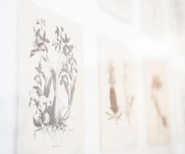 Casa Pasch - Boutique In Cumpadials 3* Sumvitg