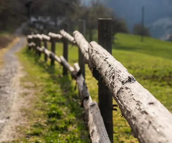 Bed and Breakfast Casa Pasch - Boutique In Cumpadials 3*