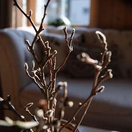 Casa Pasch - Boutique In Cumpadials Bed & Breakfast