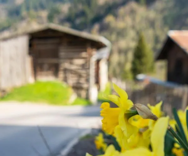 Frühstückspension Casa Pasch - Boutique In Cumpadials Sumvitg