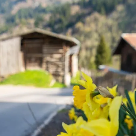 Oda ve Kahvaltı Casa Pasch - Boutique In Cumpadials Sumvitg