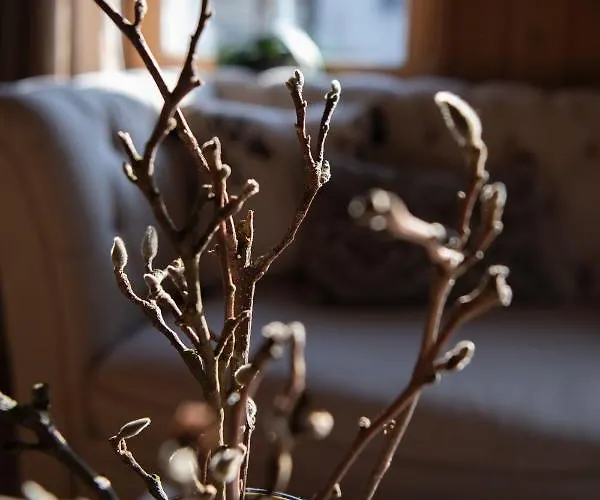 Casa Pasch - Boutique In Cumpadials فندق مبيت وإفطار