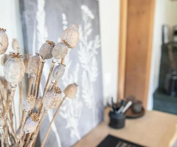 فندق مبيت وإفطار Casa Pasch - Boutique In Cumpadials 3*